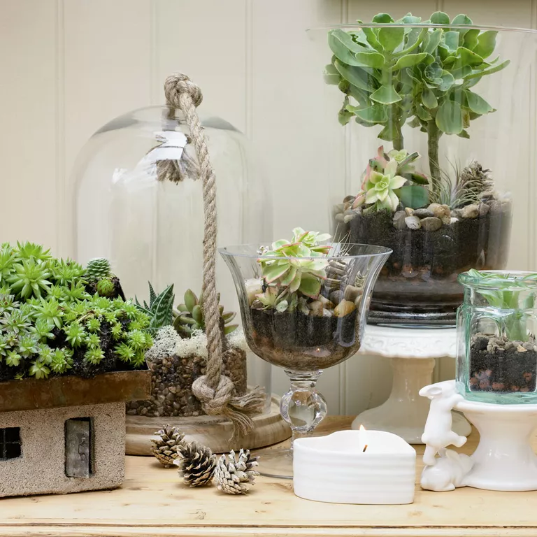 Des supports de plantes étonnants pour rehausser votre jardin d'intérieur 