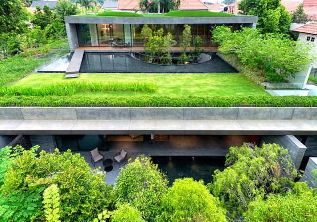 зеленый дом